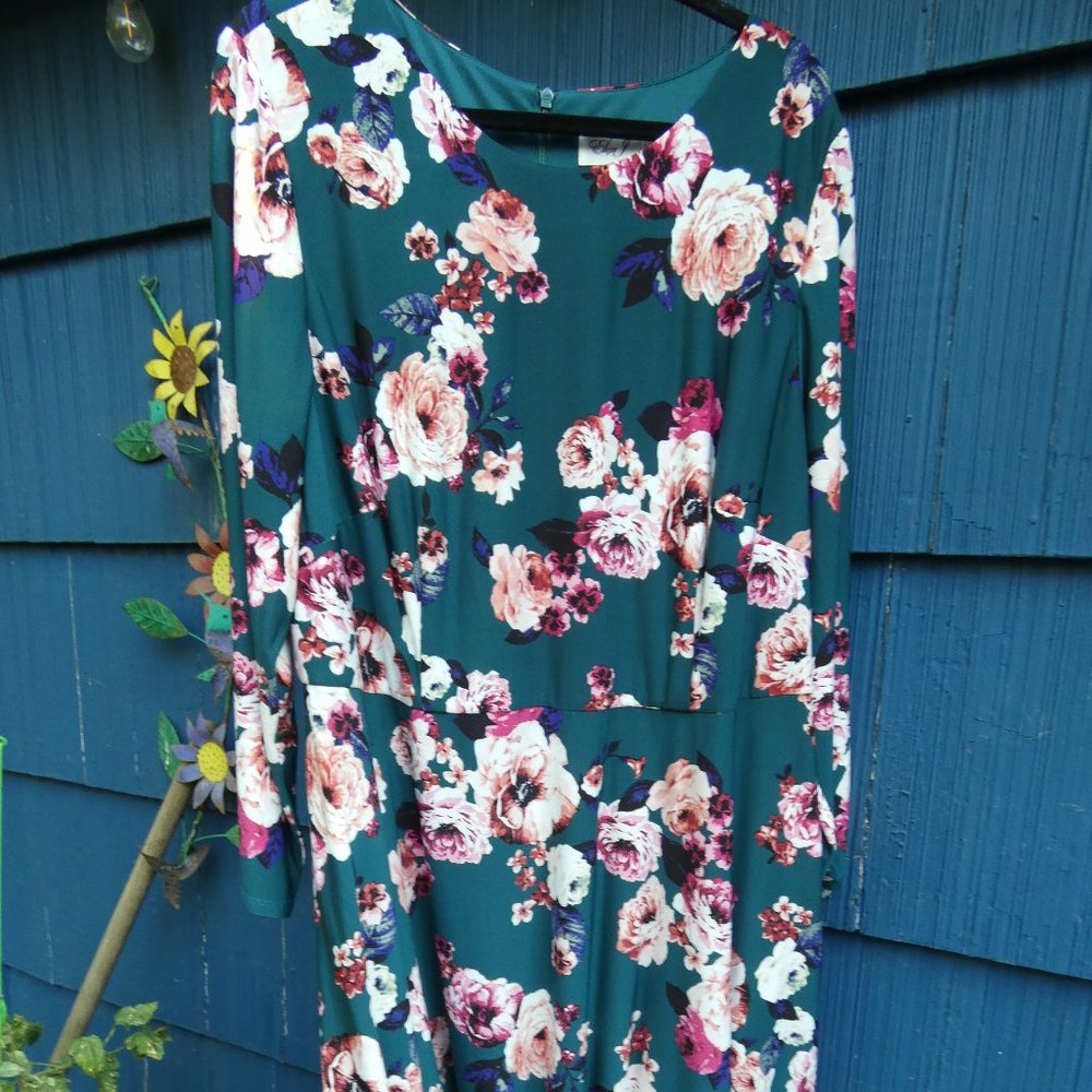 Beautiful, floral dress by Eliza J.